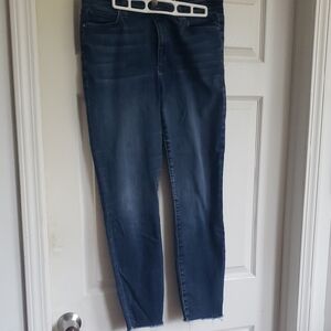 Joe's Jeans Blue Skinny Denim